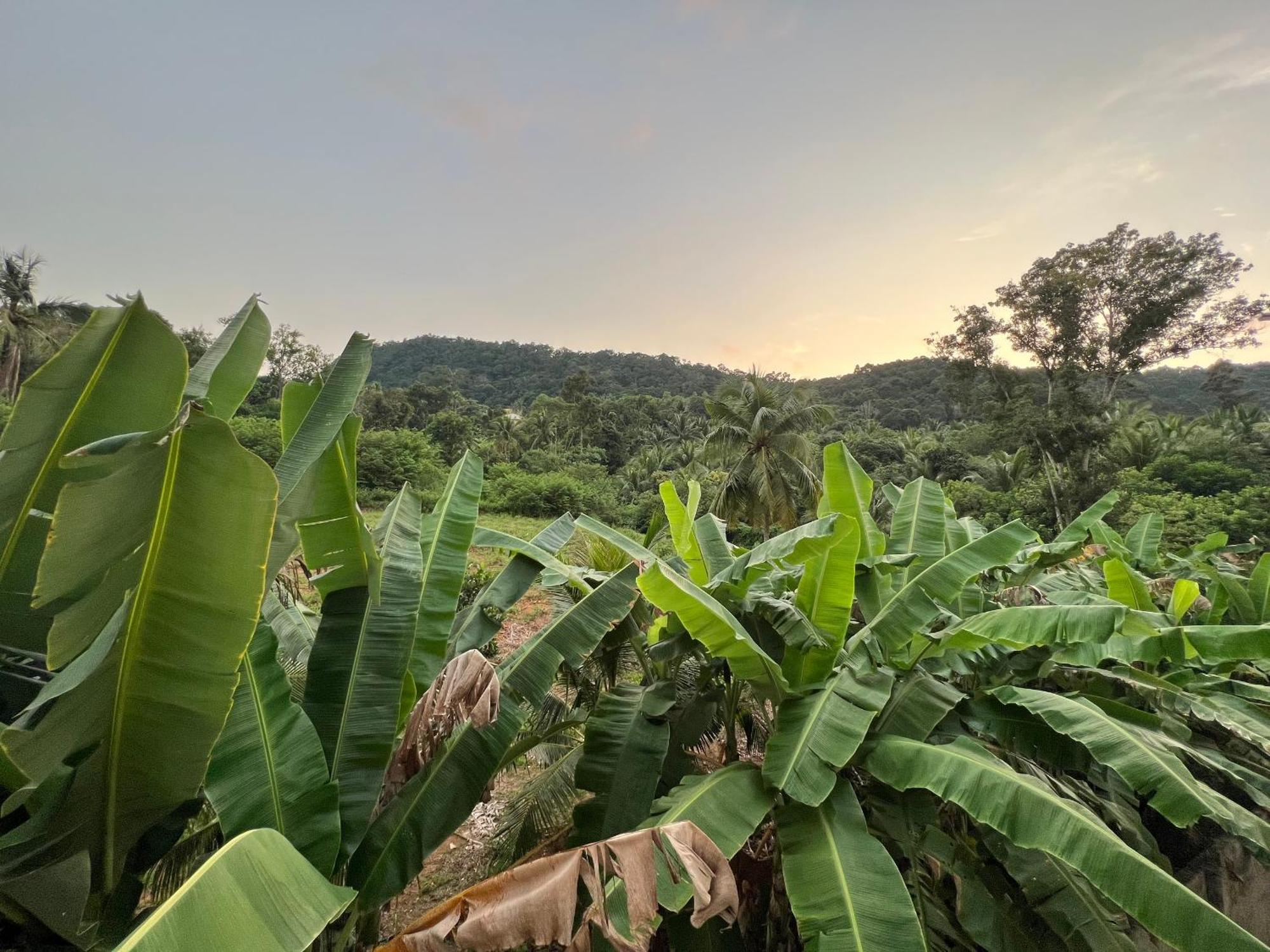 Bungalow Sáng Tươi Mountains Phu Quoc Esterno foto